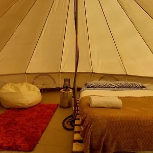 Campismo de Luxo Nature Retreat - Laurel Forest, Seixal (Madeira)